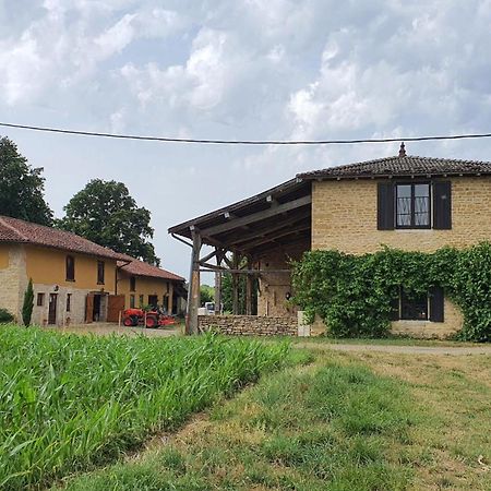 Le Moulin Du Fay Bed & Breakfast Villemotier ภายนอก รูปภาพ