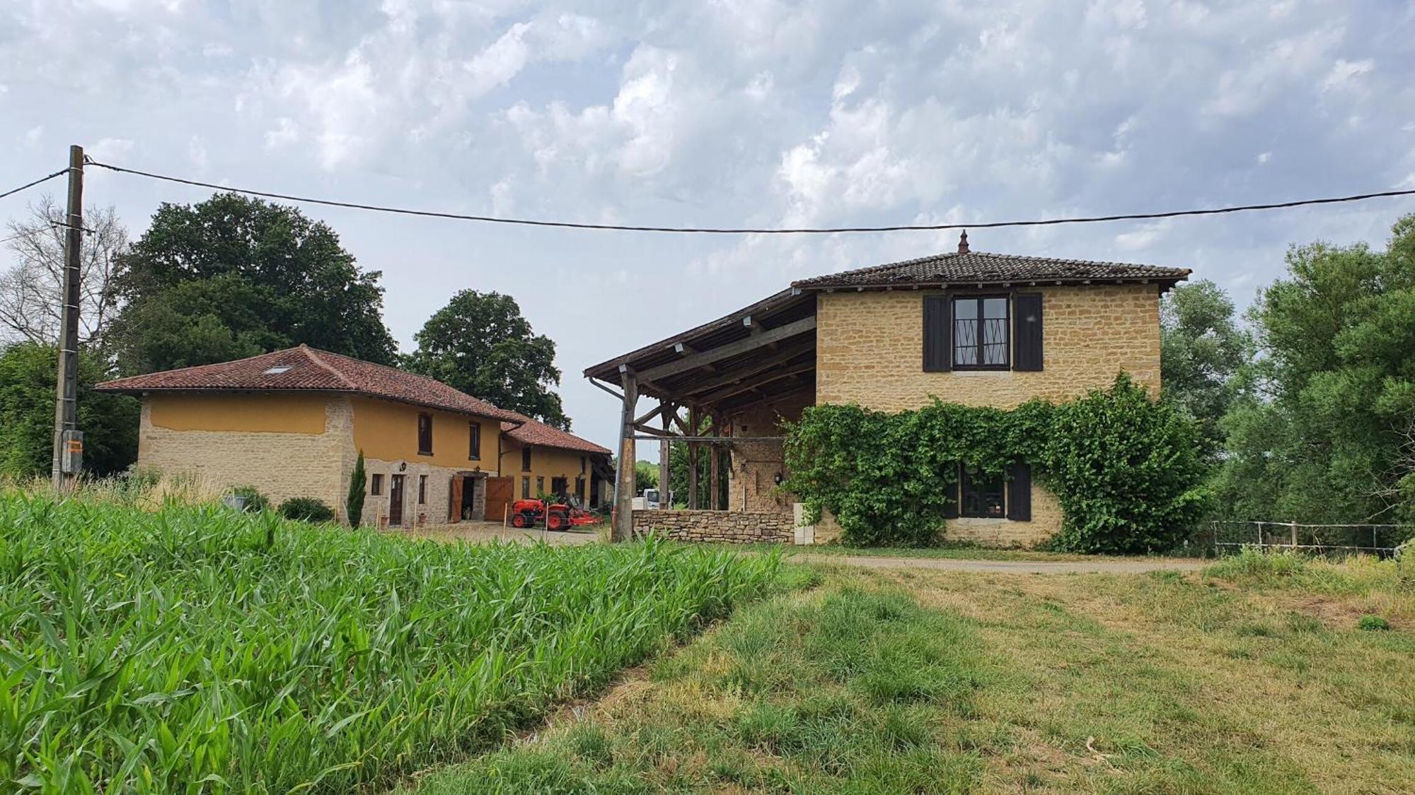 Le Moulin Du Fay Bed & Breakfast Villemotier ภายนอก รูปภาพ